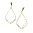 Acetate Accent Post Earrings E2097