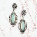 Turquoise Like Stone Accent Post Earrings E2189