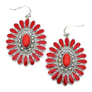 Western Design Accent Metal Earrings E2505