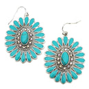 Western Design Accent Metal Earrings E2506