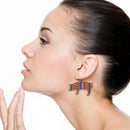 Wooden Serape Pig Design Accent Earrings  E2576