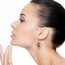 Material Patch Accent parrot Earrings E2536